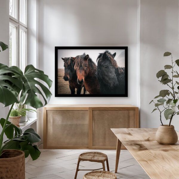 Framed Icelandic horse photography print with snow-dusted manes, styled in a warm, light-filled dining space with modern natural decor.