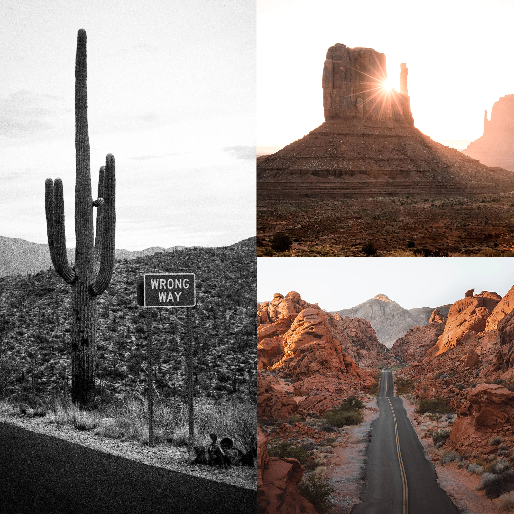 Wrong Way Desert<br>Gallery Wall Set