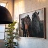 Framed print of three Icelandic horses with snow-speckled coats, mounted on a textured wall in warm natural light near a window.