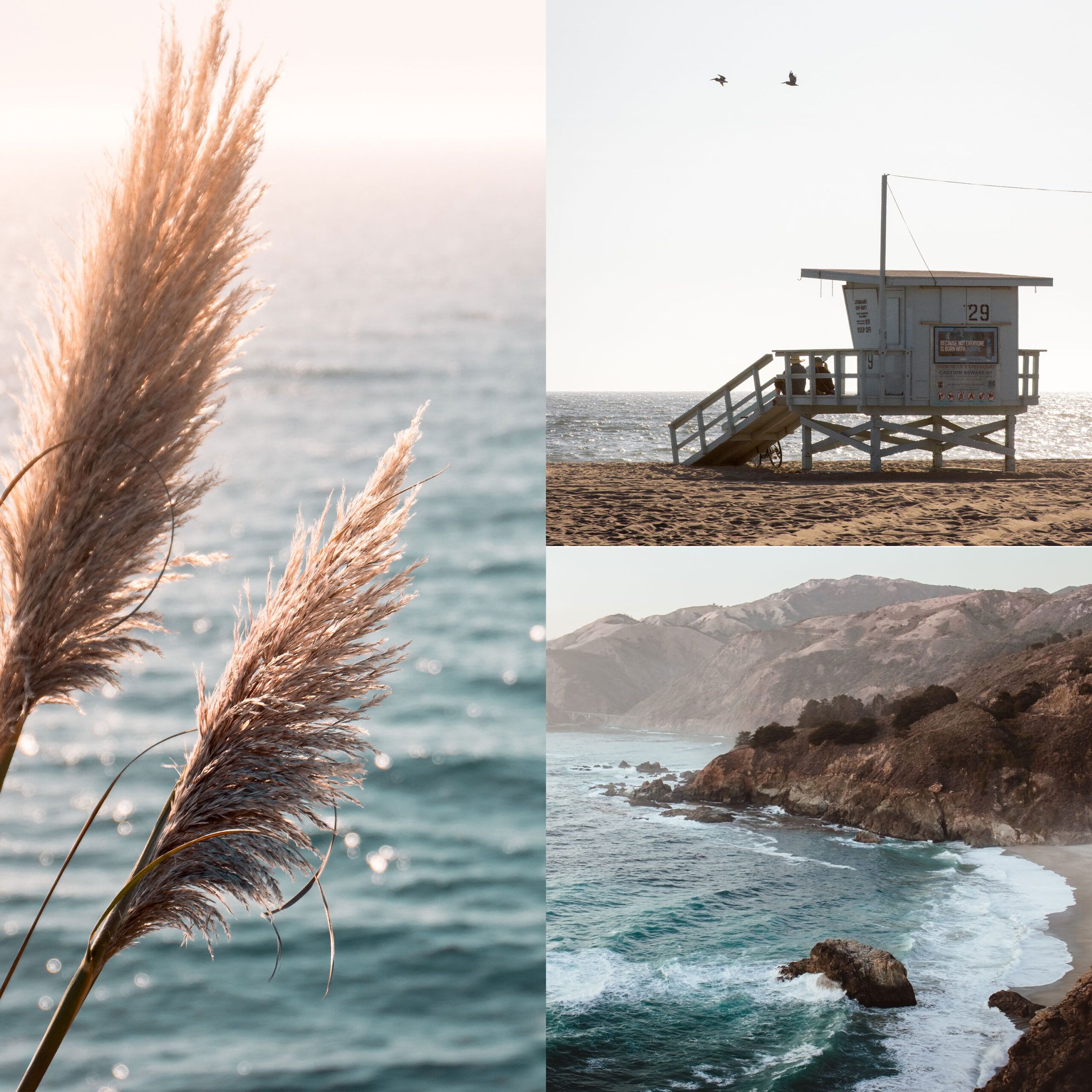 West Coast Afternoon<br>Gallery Wall Set