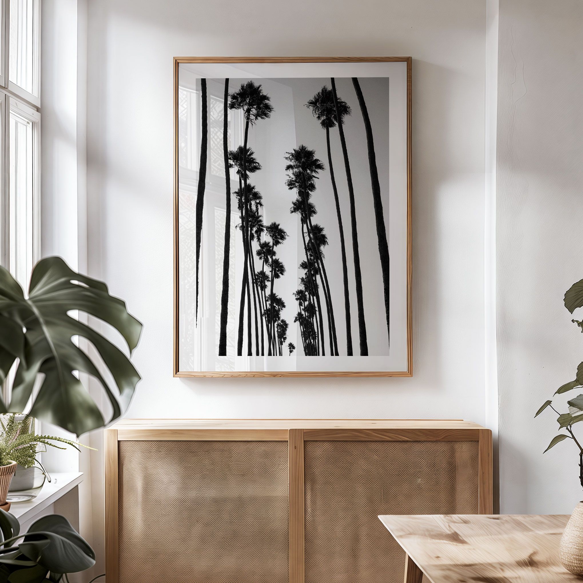 SoCal Palms<br>Fine Art Print