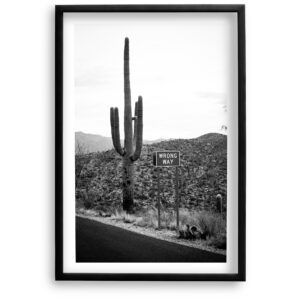 Wrong Way Desert<br>Fine Art Print
