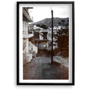 Neighborhood Watch<br>Fine Art Print