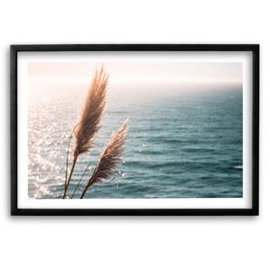 Big Sur Cattails<br>Fine Art Print