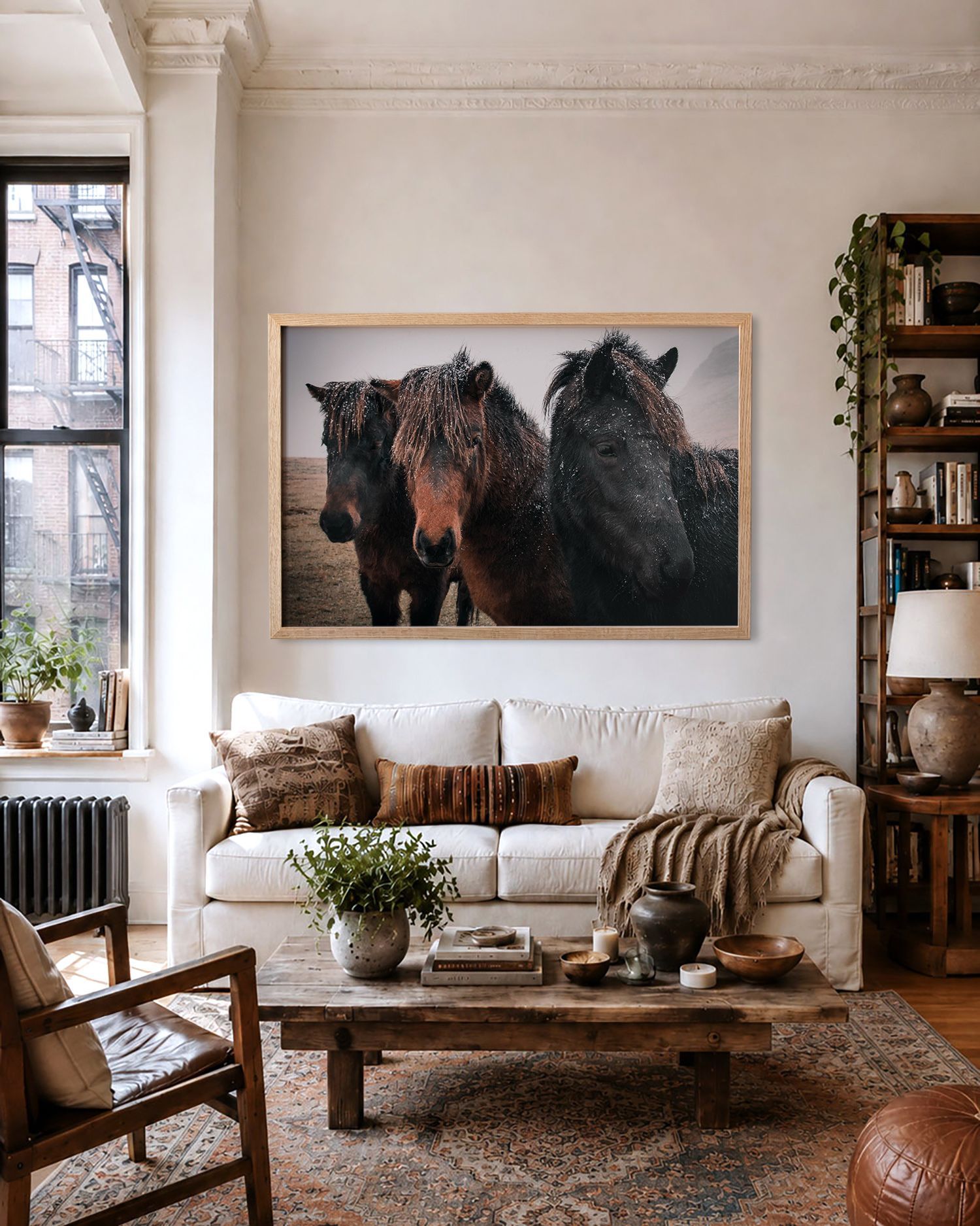 Icelandic Horses
