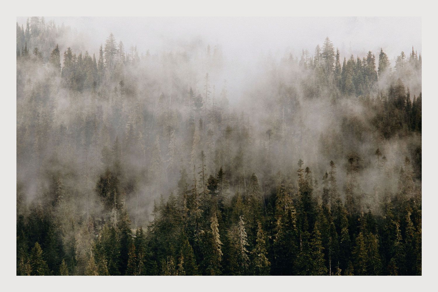 Hidden Nature