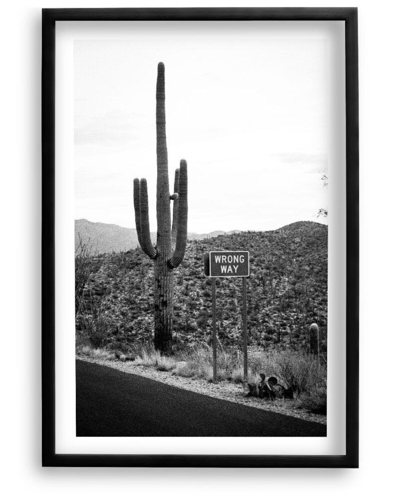 Wrong Way Desert