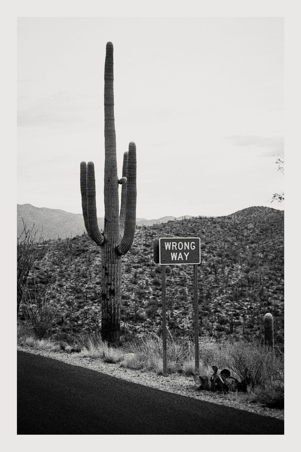 Wrong Way Desert