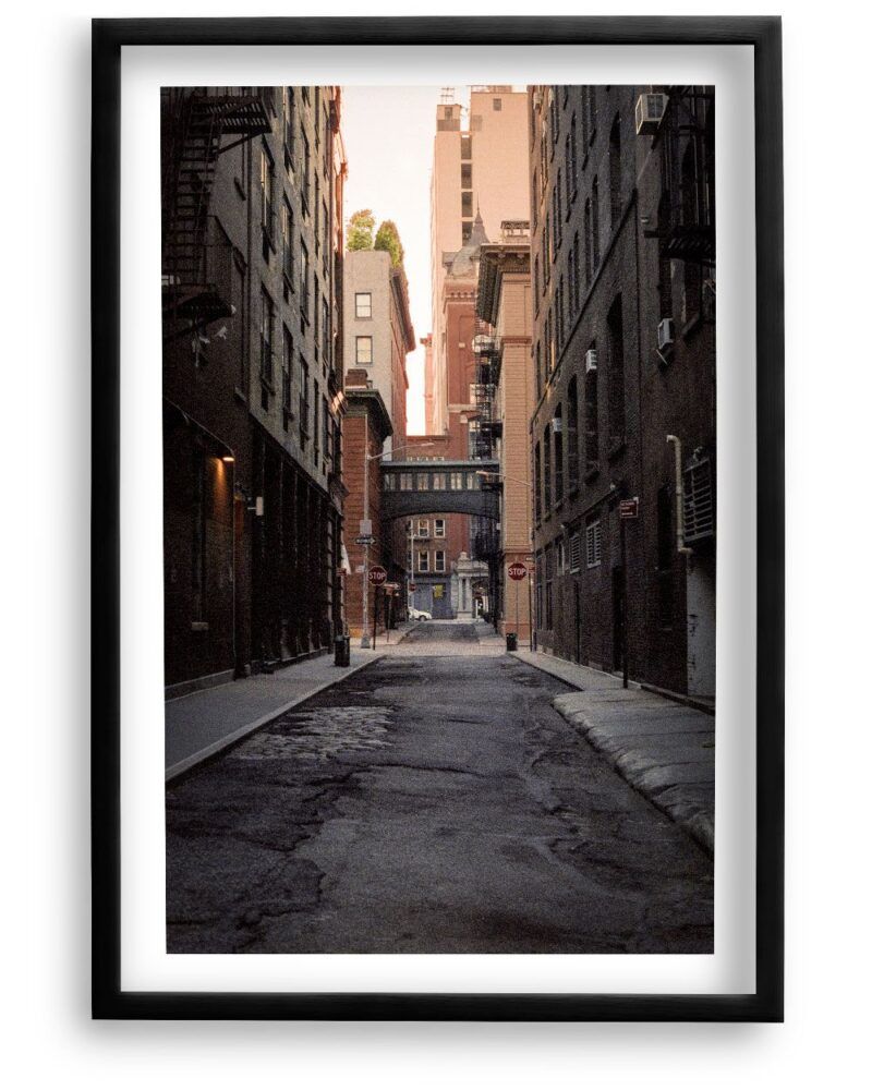 Staple Street NYC