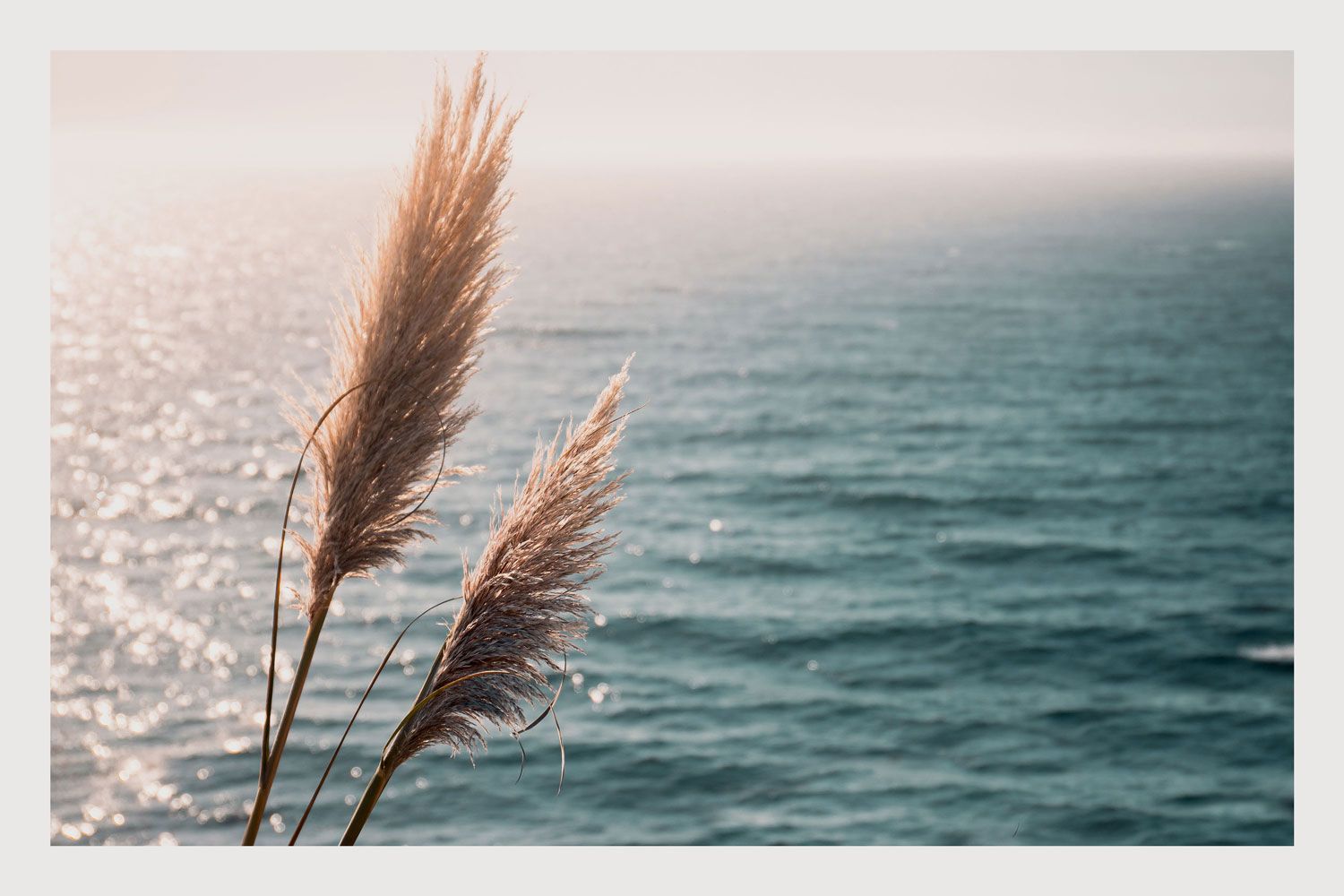 West Coast Afternoon
