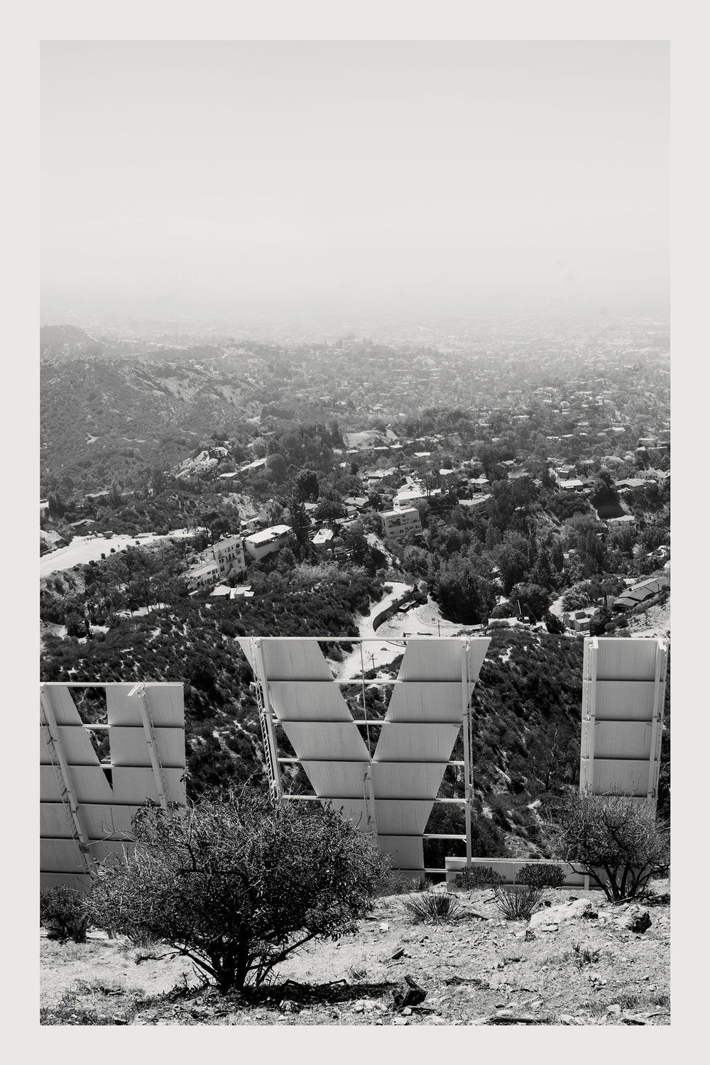 Hollywood Sign Triptych